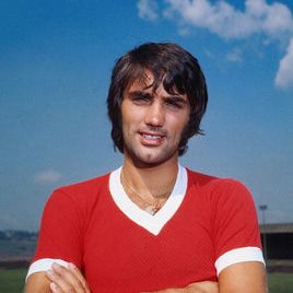 牛车队考察 牛车队考察