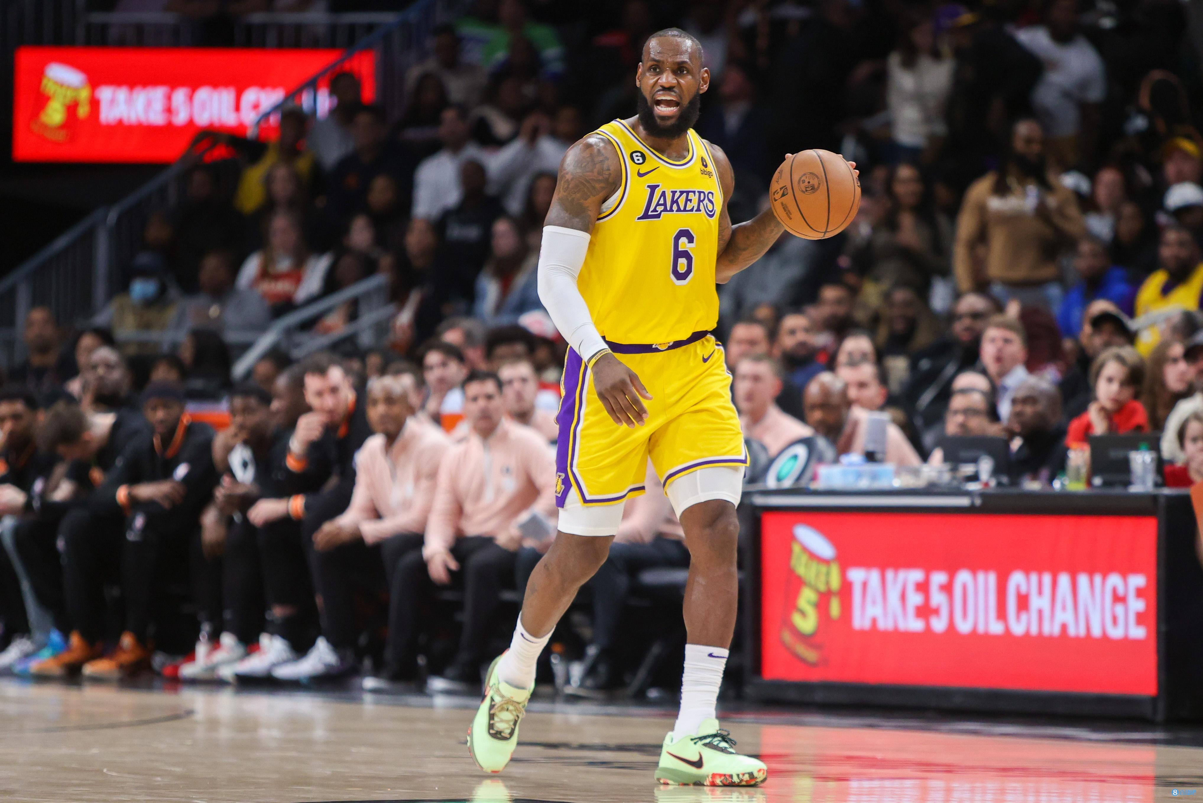 视野网和大 视野网和大